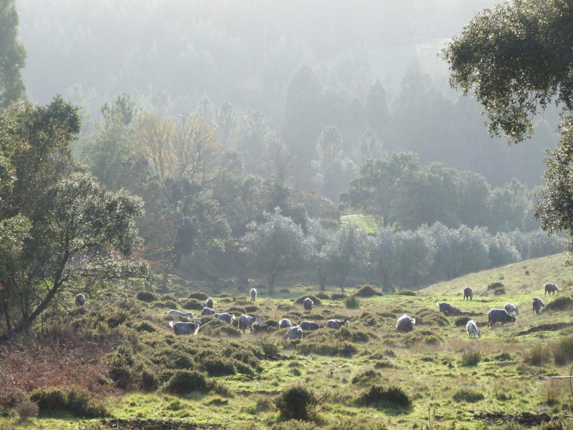 Vumba Agroturismo Арґаніл Екстер'єр фото